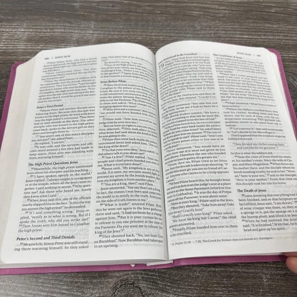 The Holy Bible Thinline NIV New International Version pink Duo Tone Zindervan